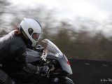 DSC_0274.jpg